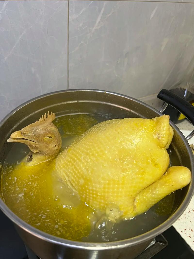 最爱吃的白斩鸡做法_最爱吃的白斩鸡做法作文-第6张图片-后鲨美食