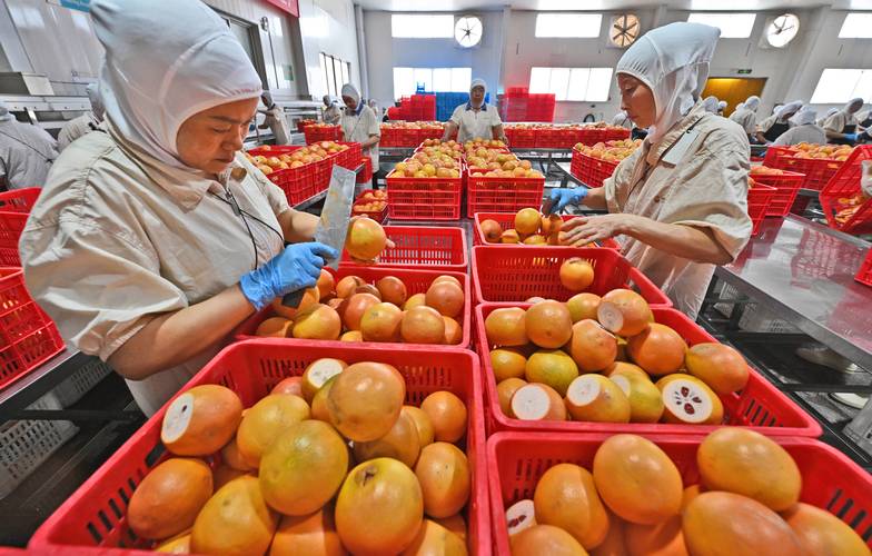 万宁正宗鲜鱼汤做法视频，春光路万宁鱼汤-第3张图片-后鲨美食