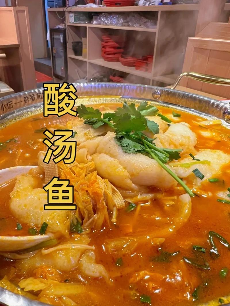 西红柿煮酸汤鱼的做法-西红柿酸菜鱼汤的做法?-第1张图片-后鲨美食 西红柿煮酸汤鱼的做法-西红柿酸菜鱼汤的做法?-第1张图片-后鲨美食