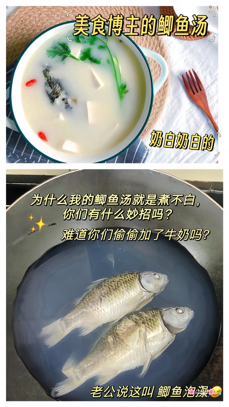 美味鲜鱼汤做法,鲜鱼汤怎么煮-第1张图片-后鲨美食 美味鲜鱼汤做法,鲜鱼汤怎么煮-第1张图片-后鲨美食