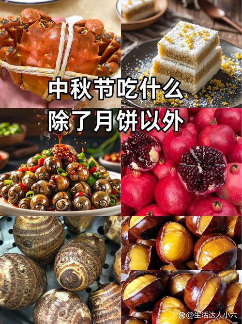 农家藕饼做法_家常藕饼的做法-第2张图片-后鲨美食