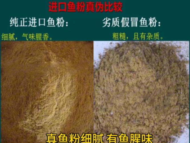 小酸汤鱼做法视频_小河酸汤鱼